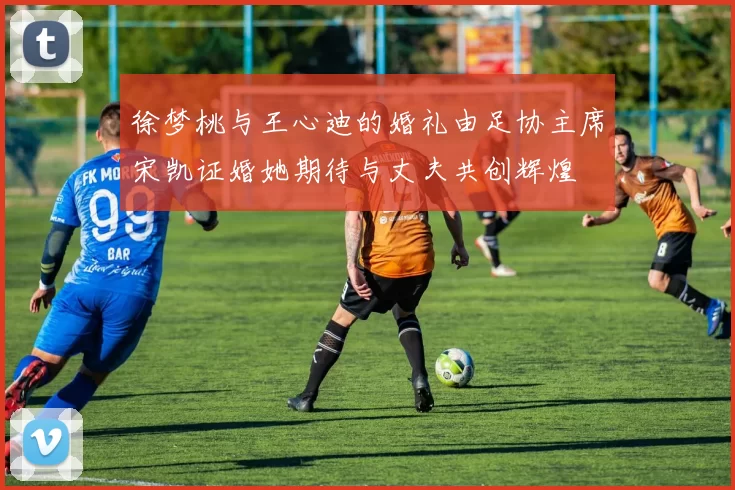 徐梦桃与王心迪的婚礼由足协主席宋凯证婚她期待与丈夫共创辉煌